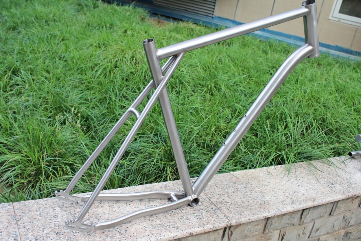 Titanium Bike Frame Belt Drive