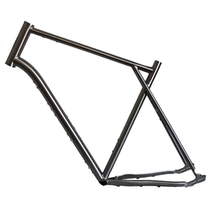Titanium Bike Frame Belt Drive
