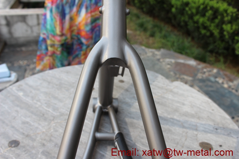 Titanium 451 frame09
