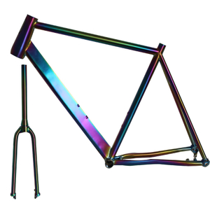 Titanium Gravel Bike Frame with Fork in Rainbow Color with Oval Down Tube Custom