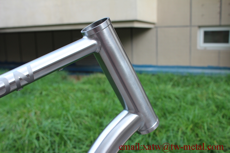 Titanium Bike Frame Belt Drive