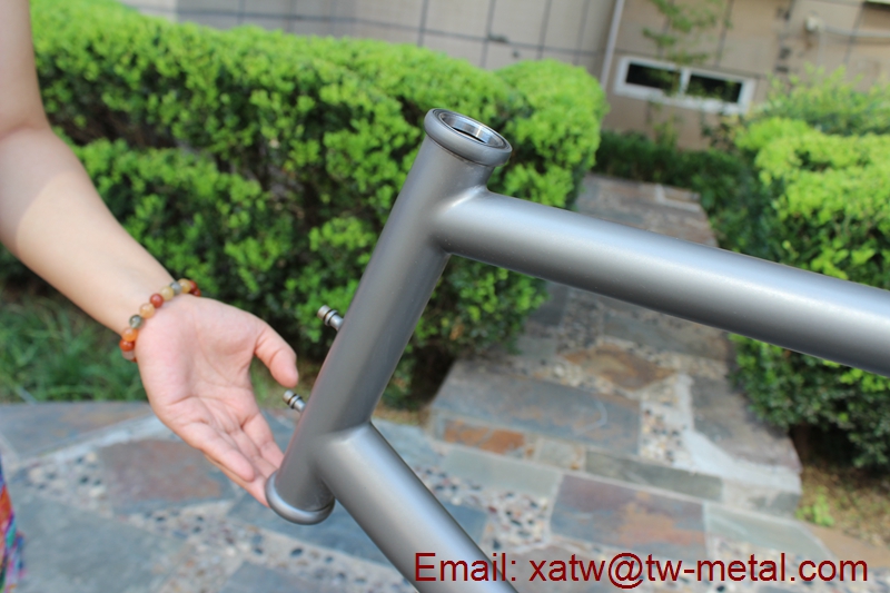 Titanium 451 frame03