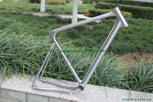 Custom Titanium 3D Printing Bicycle Frame in Light Weight And Durable Quality