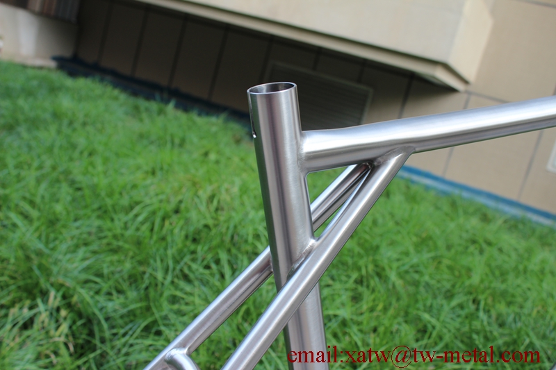 Titanium Bike Frame Belt Drive