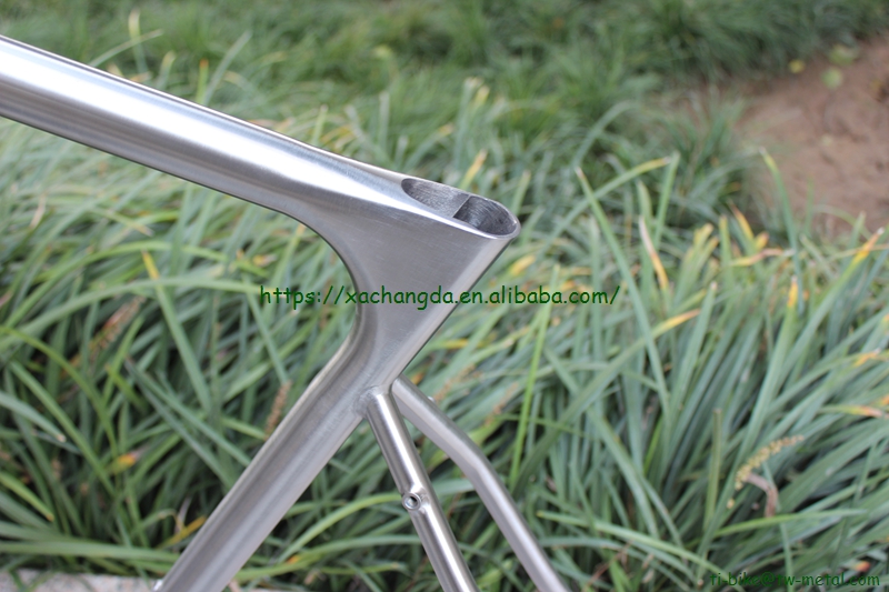 Custom Titanium 3D Printing Bicycle Frame in Light Weight And Durable Quality