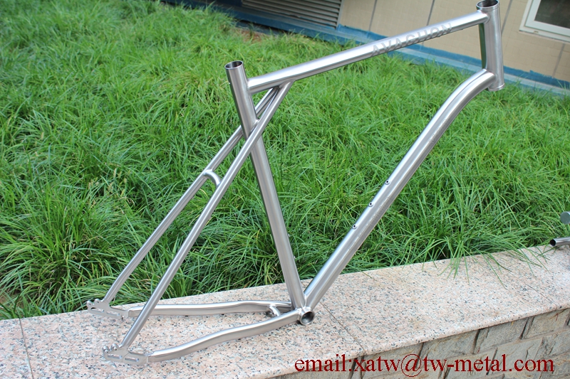 Titanium Bike Frame Belt Drive