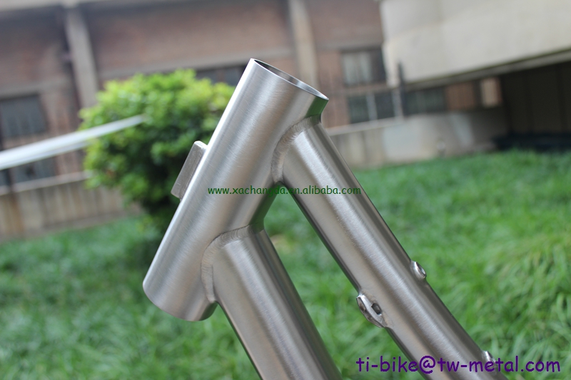 China Titanium Mtb Bike Frame with Pinion And Break Away Design