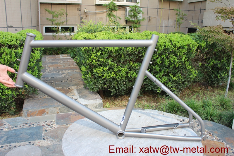 Titanium 451 frame01