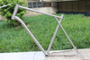 Titanium Bike Frame Belt Drive