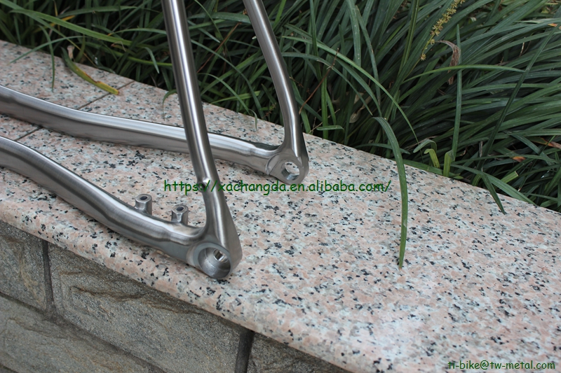 Custom Titanium 3D Printing Bicycle Frame in Light Weight And Durable Quality